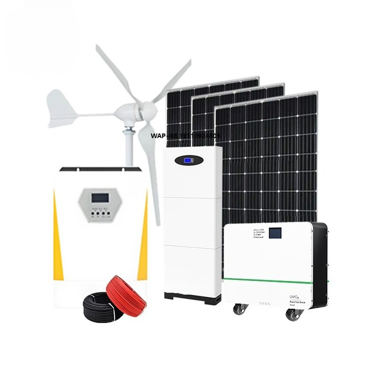 Wind Generator Permanent Magnet 3 Phase - Windturbinengenerator für den Heimgebrauch 5kW 12V