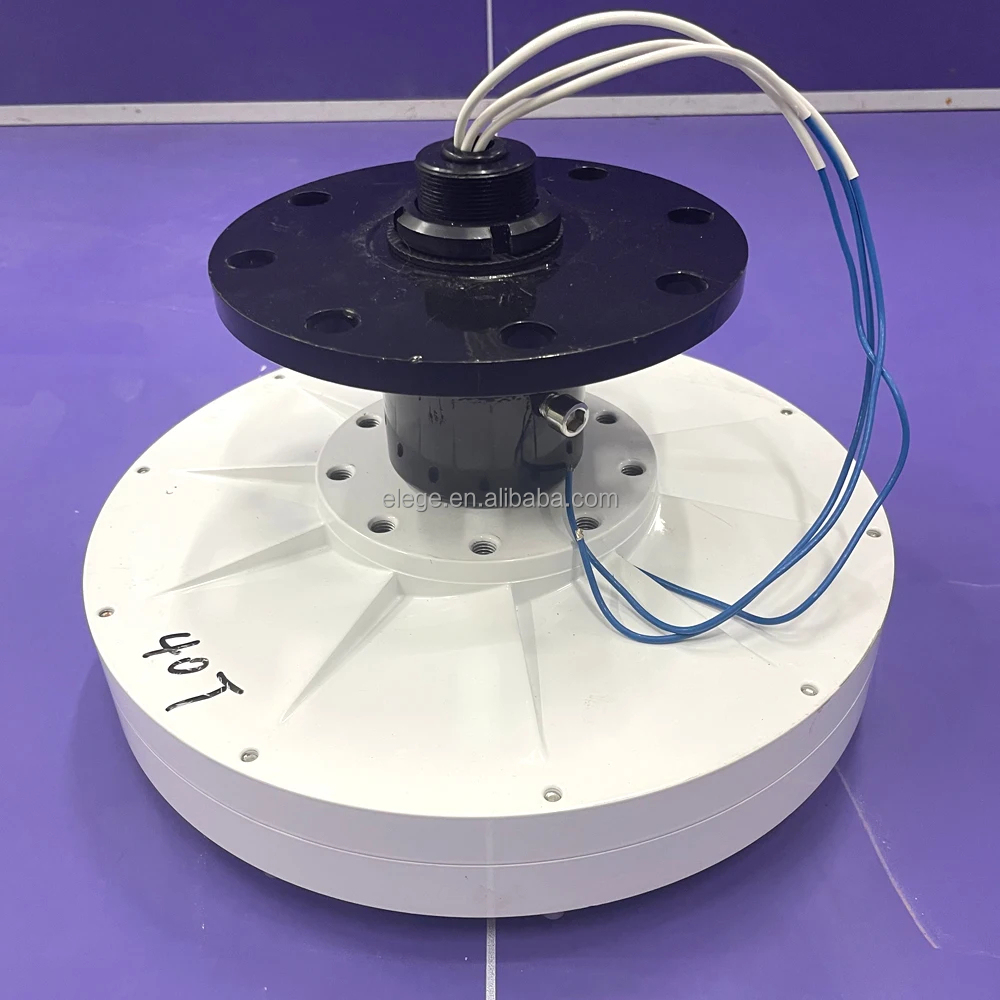 500W 1000W 3000W Dynamo-Genera – Wind Turbine 1000W 24V Bewertung und Preis