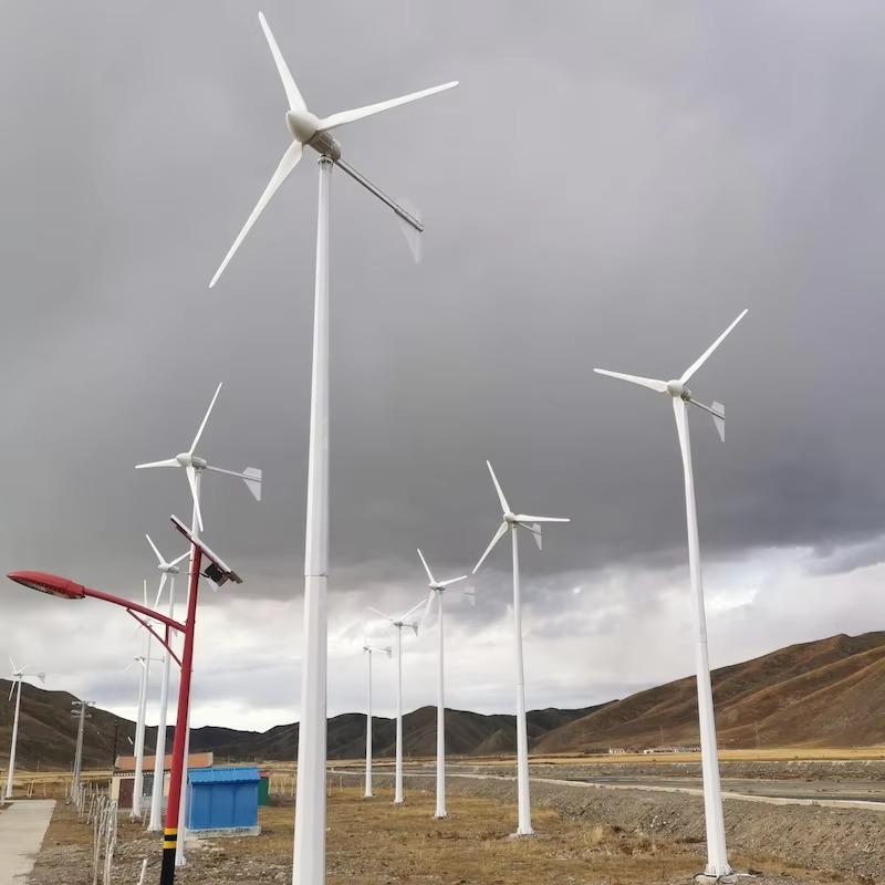 【Bestseller】Horizontale Heimwi – Horizontal Wind Turbine 10Kw Bewertung und Preis
