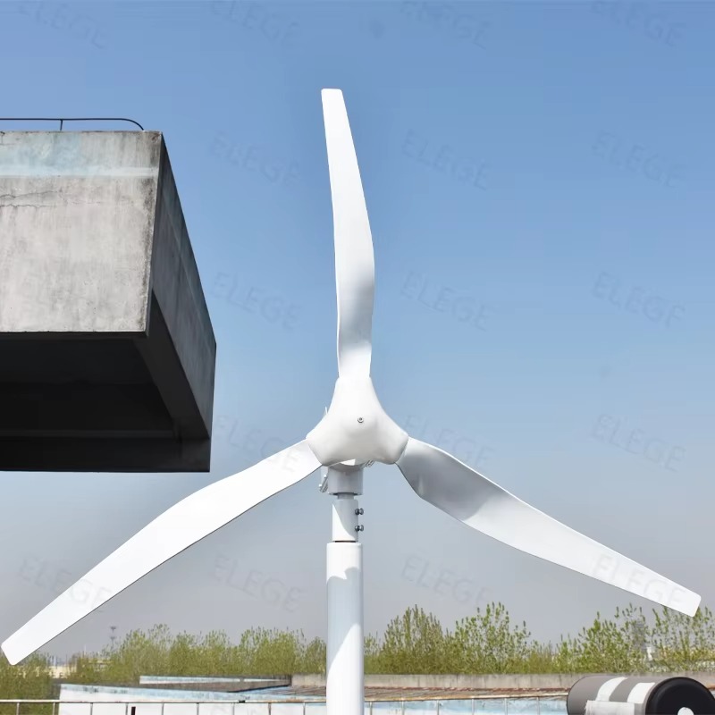 Kundenspezifische horizontale  – Horizontal Wind Turbine 10Kw Bewertung und Preis