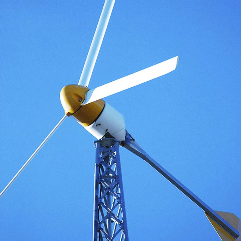 Kundenspezifische horizontale  – Horizontal Wind Turbine 10Kw Bewertung und Preis