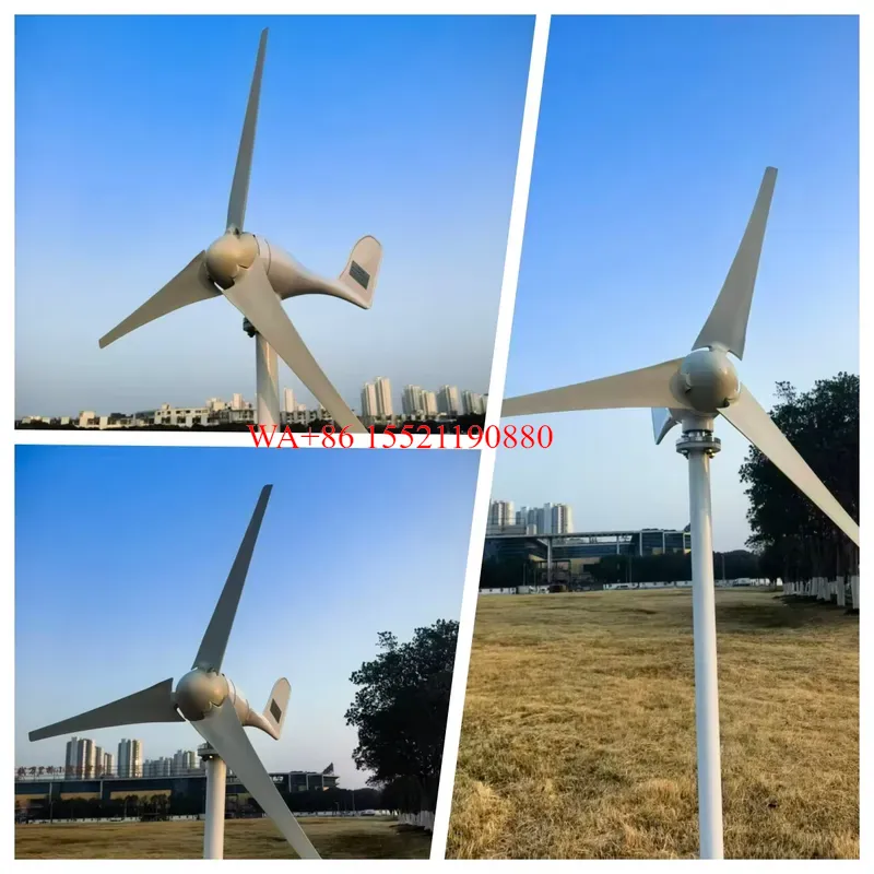WMWMNU 5KW Horizontale Windtur – Wind Turbine 48V 5Kw Off Grid Bewertung und Preis