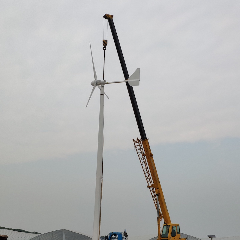 Mit Ce-Zertifikat Windgenerato – Horizontal Wind Turbine 10Kw Bewertung und Preis