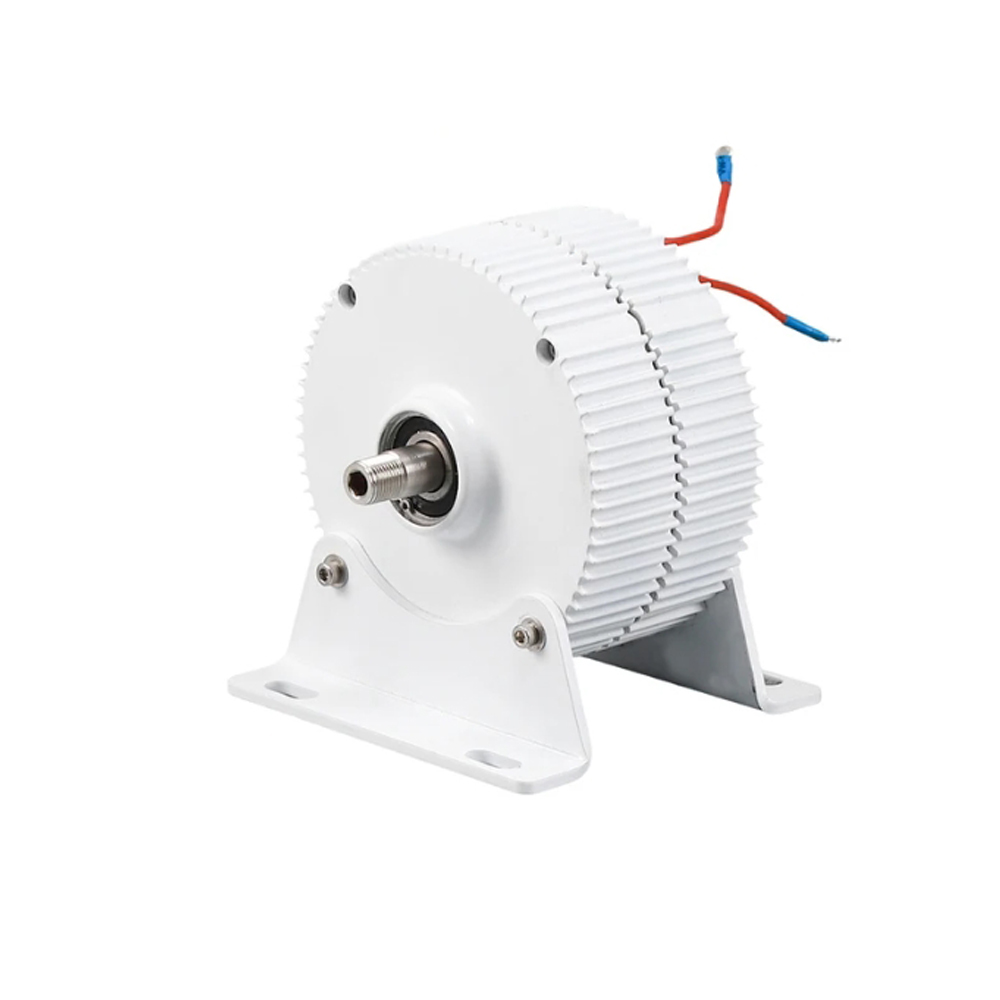 1000 W Permanentmagnetgenerato – Wind Turbine 1000W 24V Bewertung und Preis
