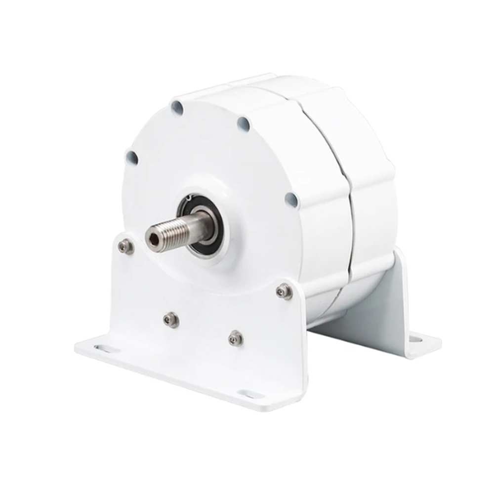 1000 W Permanentmagnetgenerato – Wind Turbine 1000W 24V Bewertung und Preis