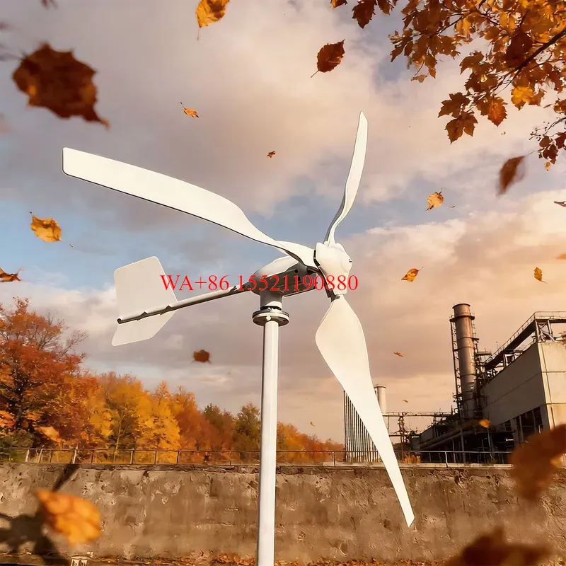 WMWMNU 2000W 3-Blatt-Horizonta – Wind Turbine Generator Kit 2000W Bewertung und Preis